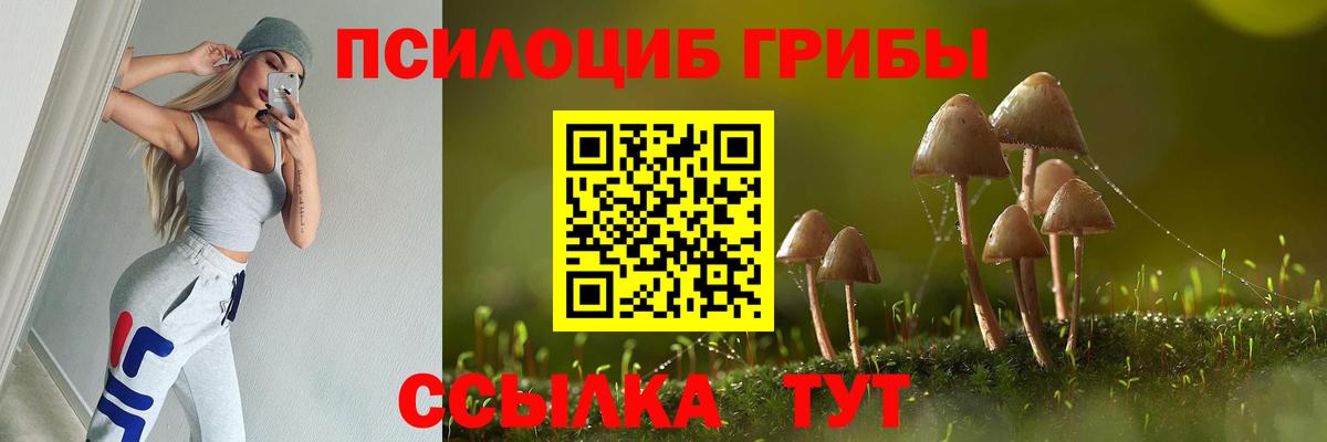 Псилоцибиновые грибы Cubensis Люберцы